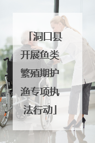 洞口县开展鱼类繁殖期护渔专项执法行动