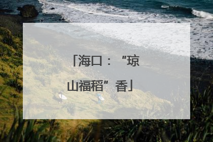 海口：“琼山福稻”香