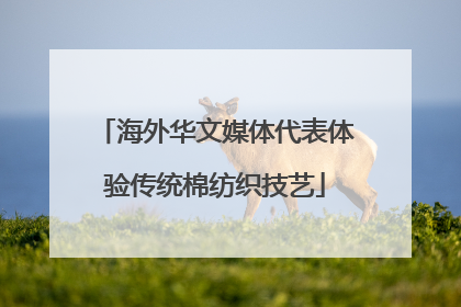 海外华文媒体代表体验传统棉纺织技艺