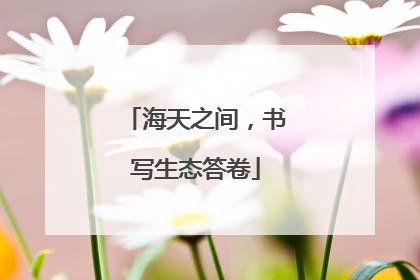 海天之间，书写生态答卷
