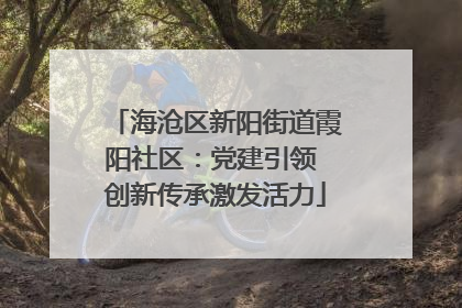 海沧区新阳街道霞阳社区：党建引领 创新传承激发活力