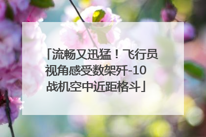 流畅又迅猛！飞行员视角感受数架歼-10战机空中近距格斗