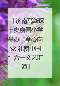 济南高新区丰奥嘉园小学举办“童心向党 礼赞中国”六一文艺汇演