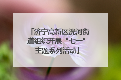 济宁高新区洸河街道组织开展“七一” 主题系列活动