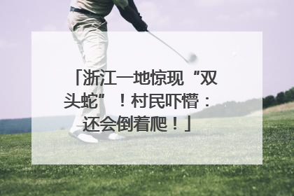 浙江一地惊现“双头蛇”！村民吓懵：还会倒着爬！