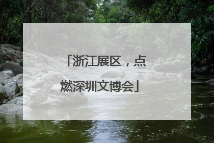浙江展区，点燃深圳文博会