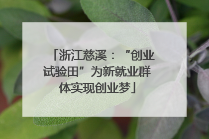 浙江慈溪：“创业试验田”为新就业群体实现创业梦