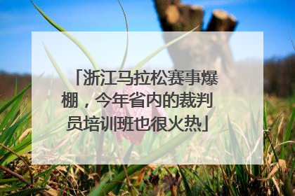 浙江马拉松赛事爆棚，今年省内的裁判员培训班也很火热
