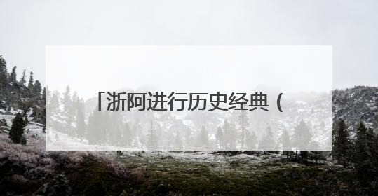 浙阿进行历史经典（非遗）产业交流互鉴