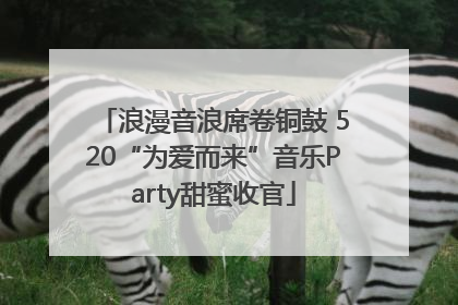 浪漫音浪席卷铜鼓 520“为爱而来”音乐Party甜蜜收官