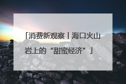消费新观察丨海口火山岩上的“甜蜜经济”