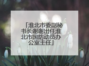 淮北市委副秘书长谢谢出任淮北市国防动员办公室主任