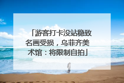 游客打卡没站稳致名画受损，乌菲齐美术馆：将限制自拍
