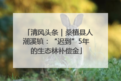 清风头条｜桑植县人潮溪镇：“迟到”5年的生态林补偿金
