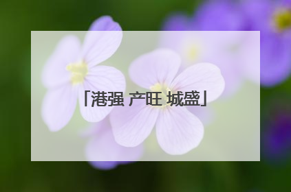 港强 产旺 城盛
