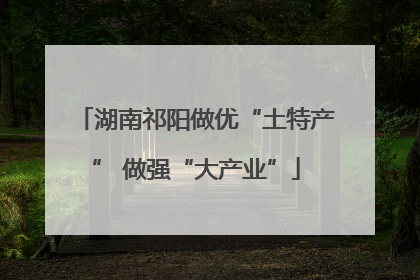 湖南祁阳做优“土特产” 做强“大产业”