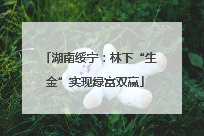 湖南绥宁：林下“生金”实现绿富双赢