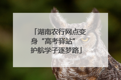 湖南农行网点变身“高考驿站” 护航学子逐梦路