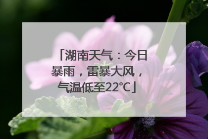 湖南天气：今日暴雨，雷暴大风，气温低至22℃