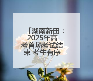 湖南新田：2025年高考首场考试结束 考生有序走出考场（组图）
