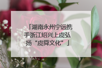 湖南永州宁远携手浙江绍兴上虞弘扬“虞舜文化”