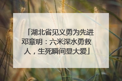 湖北省见义勇为先进邓章明：六米深水勇救人，生死瞬间显大爱