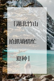 湖北竹山抢抓墒情忙夏种