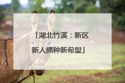 湖北竹溪：新区新人播种新希望
