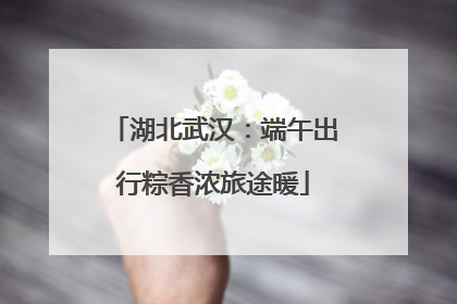 湖北武汉：端午出行粽香浓旅途暖