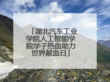 湖北汽车工业学院人工智能学院学子热血助力世界献血日