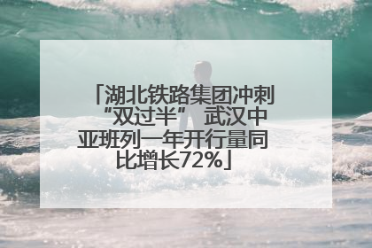 湖北铁路集团冲刺“双过半” 武汉中亚班列一年开行量同比增长72%