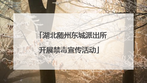 湖北随州东城派出所开展禁毒宣传活动