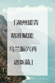 湖州援青精准赋能 乌兰振兴再谱新篇