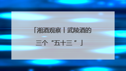 湘酒观察丨武陵酒的三个“五十三 ”