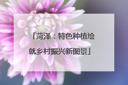 菏泽：特色种植绘就乡村振兴新图景