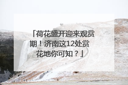 荷花盛开迎来观赏期！济南这12处赏花地你可知？