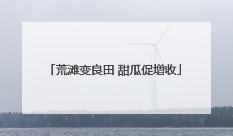 荒滩变良田 甜瓜促增收