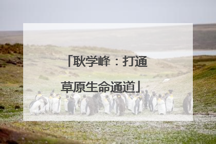 耿学峰：打通草原生命通道