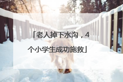 老人掉下水沟，4个小学生成功施救