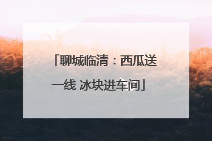 聊城临清：西瓜送一线 冰块进车间