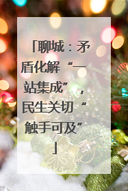 聊城：矛盾化解“一站集成”，民生关切“触手可及”