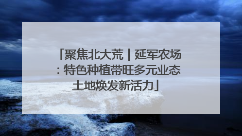 聚焦北大荒｜延军农场：特色种植带旺多元业态 土地焕发新活力