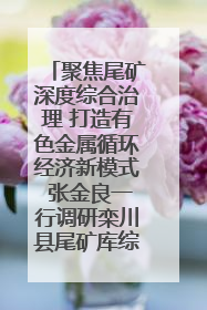 聚焦尾矿深度综合治理 打造有色金属循环经济新模式 张金良一行调研栾川县尾矿库综合治理工作