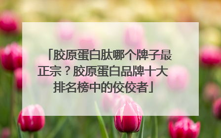 胶原蛋白肽哪个牌子最正宗？胶原蛋白品牌十大排名榜中的佼佼者