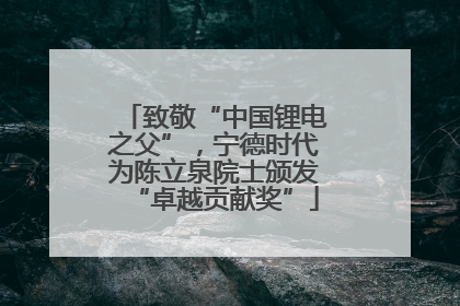 致敬“中国锂电之父”，宁德时代为陈立泉院士颁发“卓越贡献奖”