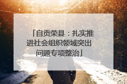 自贡荣县：扎实推进社会组织领域突出问题专项整治
