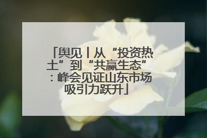舆见丨从“投资热土”到“共赢生态”：峰会见证山东市场吸引力跃升