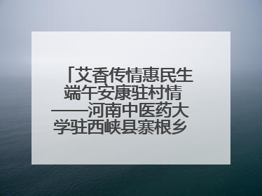 艾香传情惠民生 端午安康驻村情——河南中医药大学驻西峡县寨根乡桑树村工作队端午中医惠民记