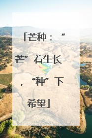 芒种：“芒”着生长，“种”下希望
