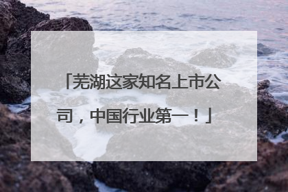 芜湖这家知名上市公司，中国行业第一！